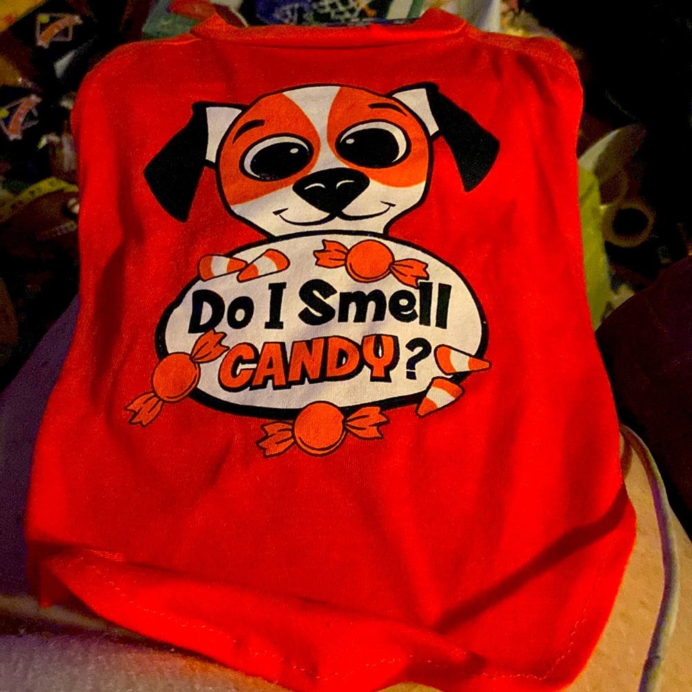 New Pet Dog T-shirt Do I smell candy?  Size  Medium